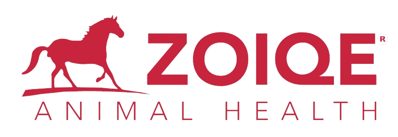 Zoiqe